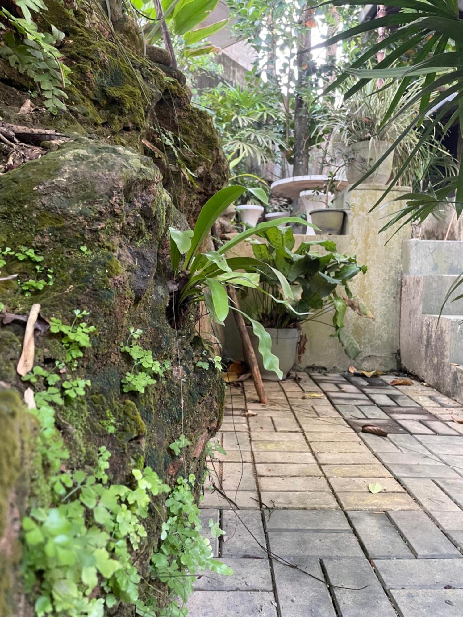 Eco Garden Hiriketiya Hotel ดิคเวลลา ภายนอก รูปภาพ