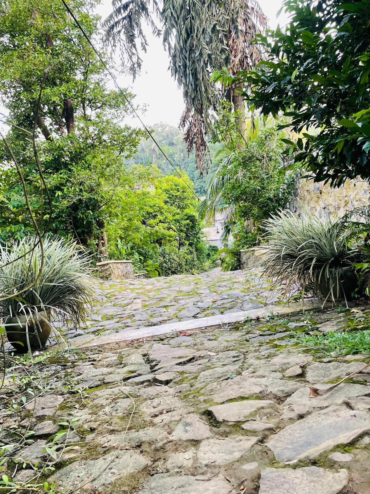 Eco Garden Hiriketiya Hotel ดิคเวลลา ภายนอก รูปภาพ
