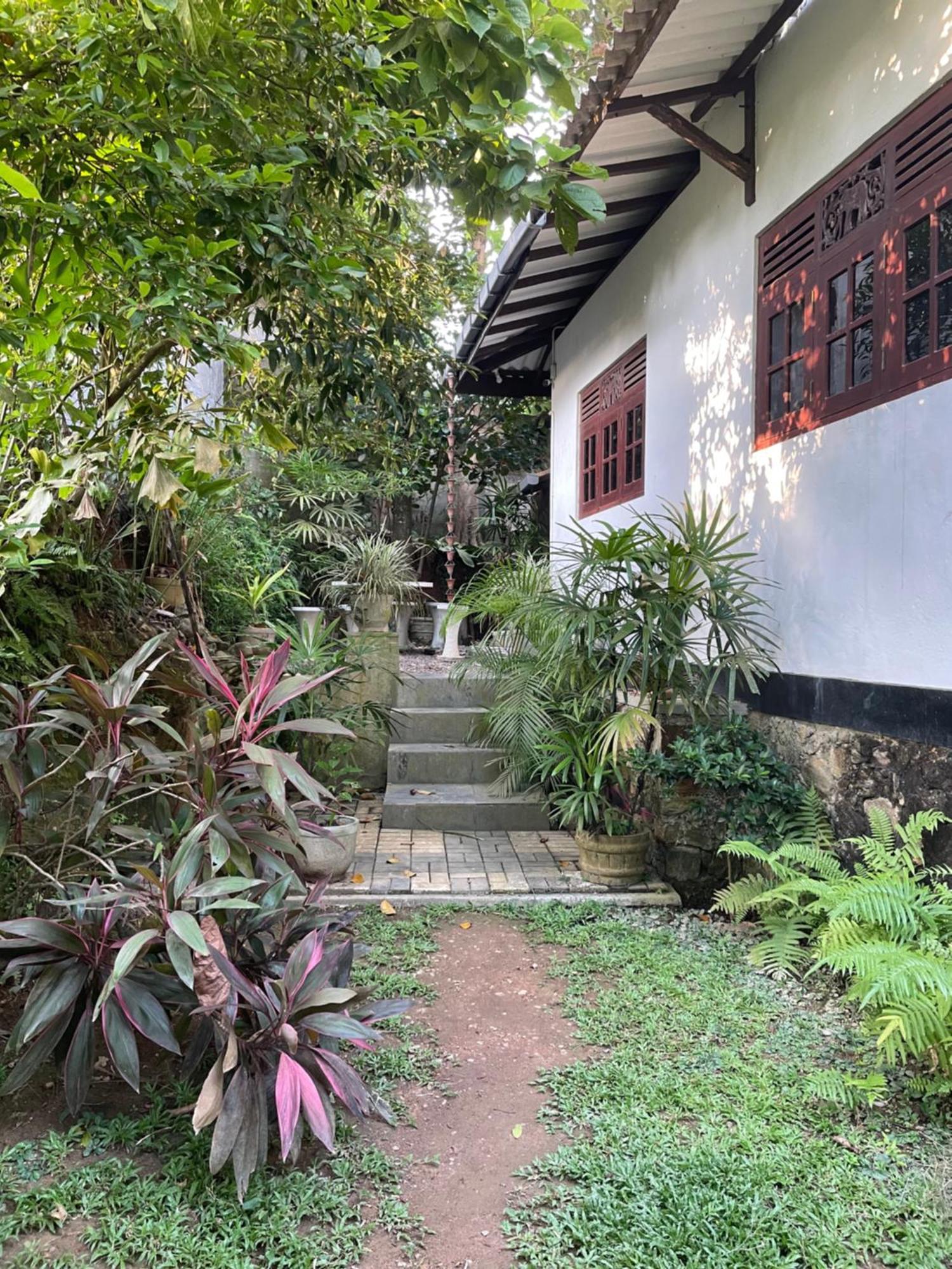 Eco Garden Hiriketiya Hotel ดิคเวลลา ภายนอก รูปภาพ