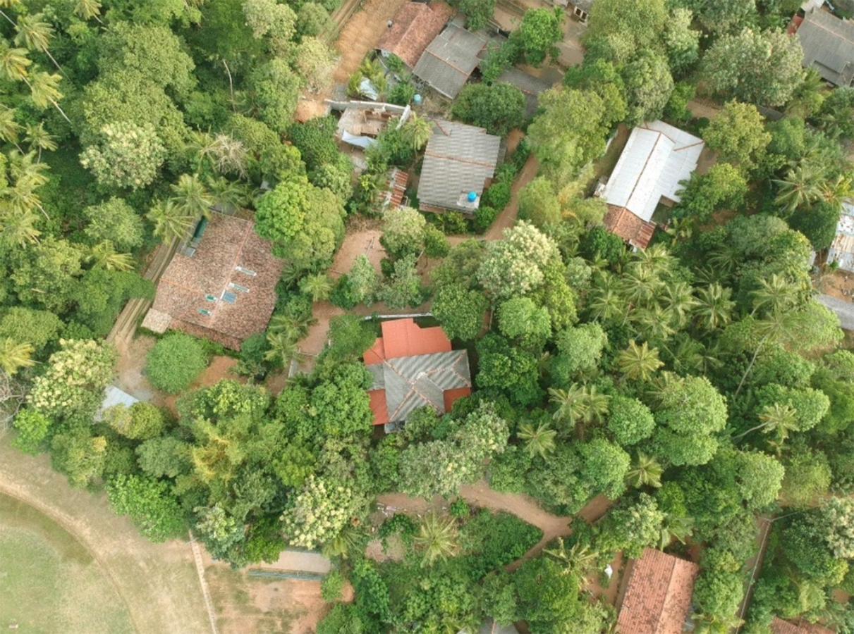 Eco Garden Hiriketiya Hotel ดิคเวลลา ภายนอก รูปภาพ